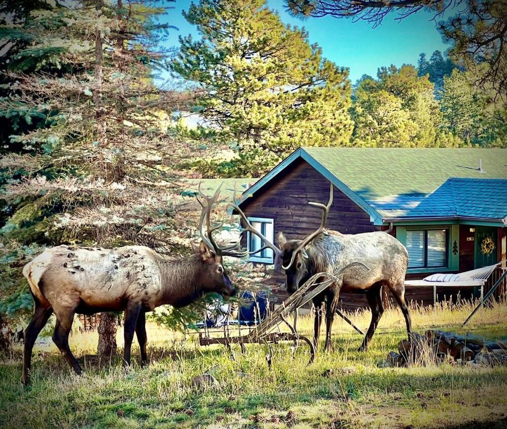 Mountain Shadows Resort استيس بارك المظهر الخارجي الصورة