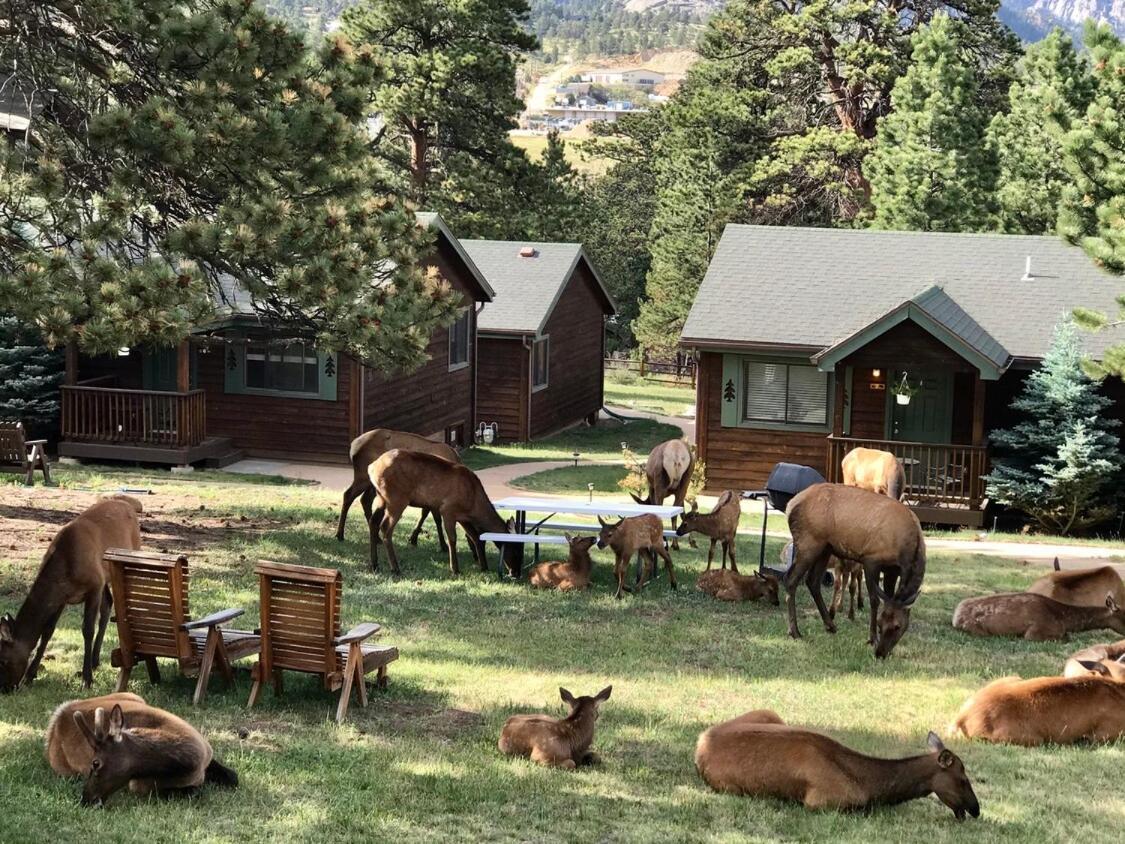 Mountain Shadows Resort استيس بارك المظهر الخارجي الصورة