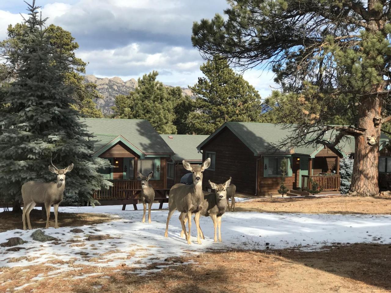 Mountain Shadows Resort استيس بارك المظهر الخارجي الصورة